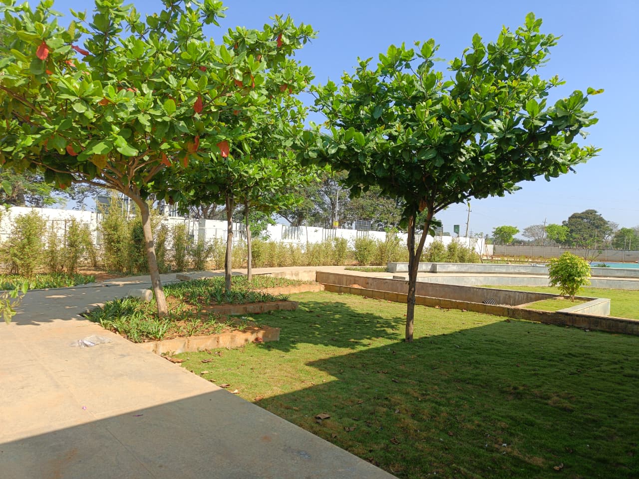 Little Earth By Shivnath Group